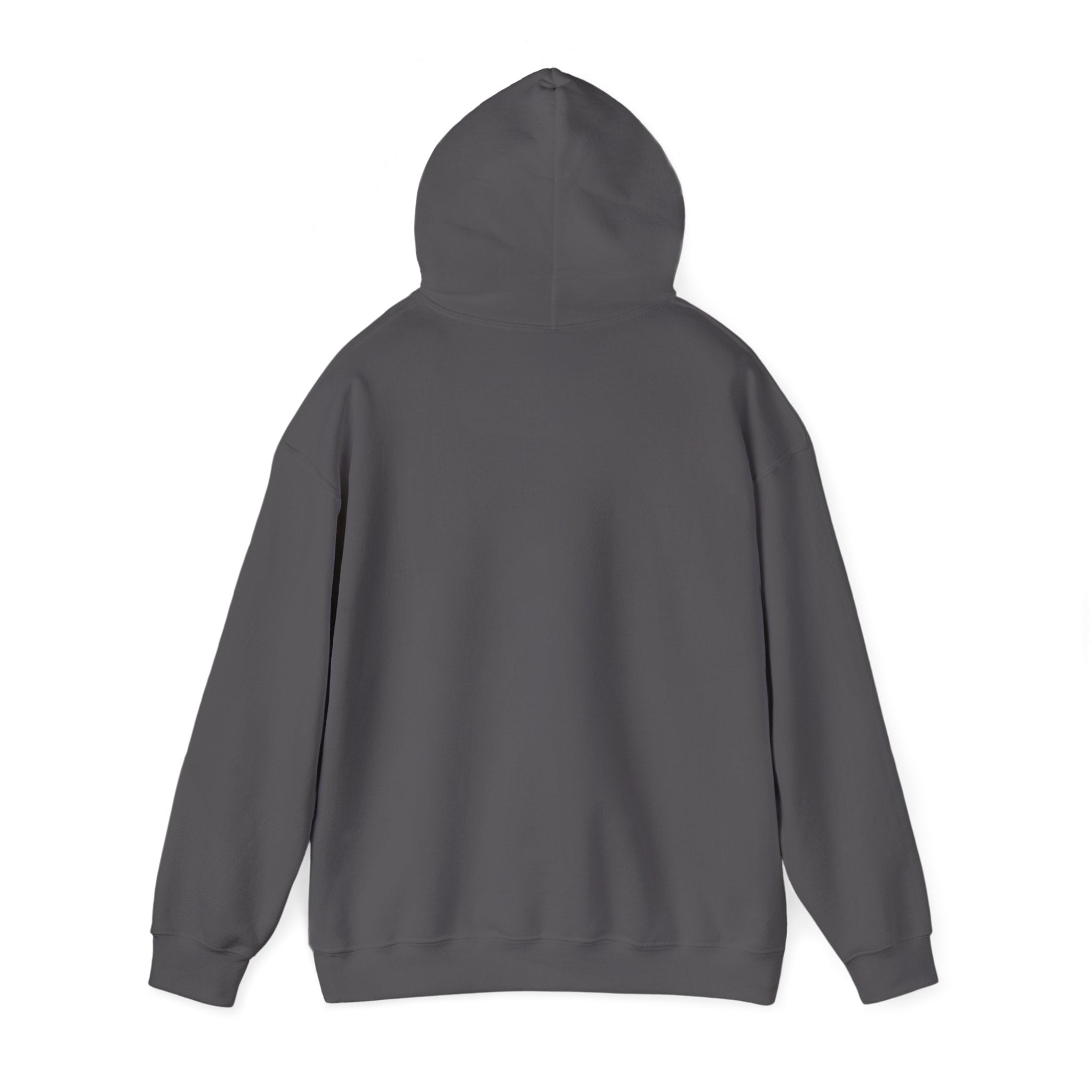 PBS Please Bring Senkos hoodie | Black Pullover Sweatshirt