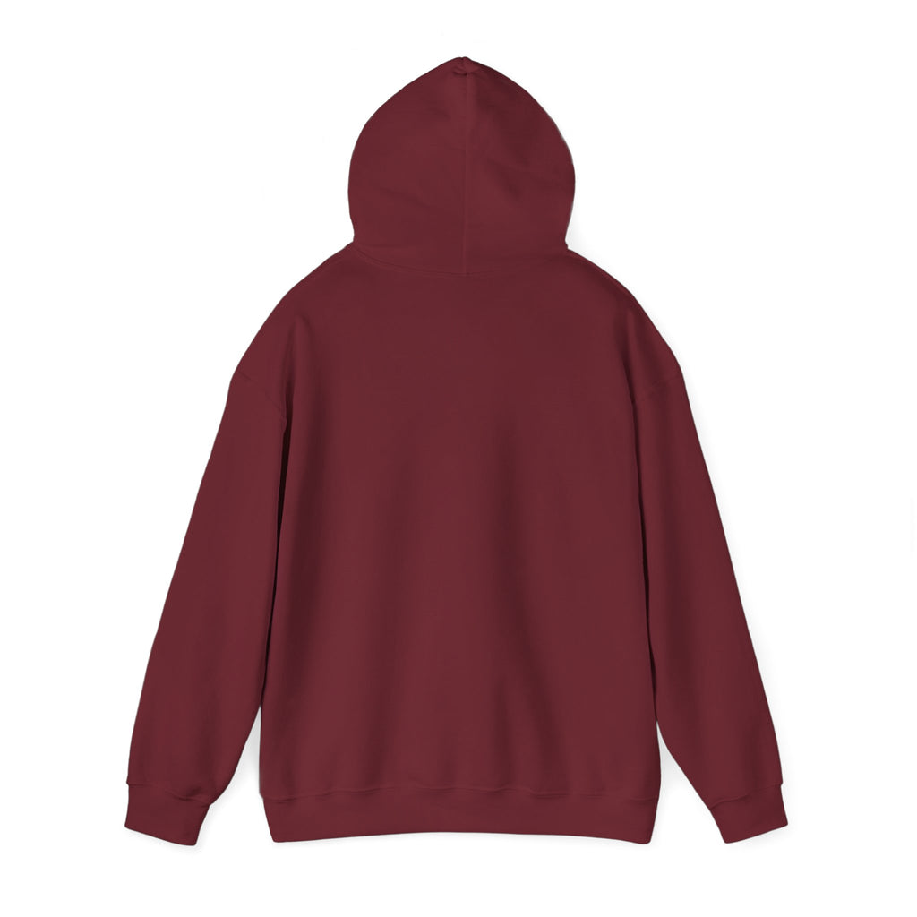 PBS Please Bring Senkos hoodie | Black Pullover Sweatshirt