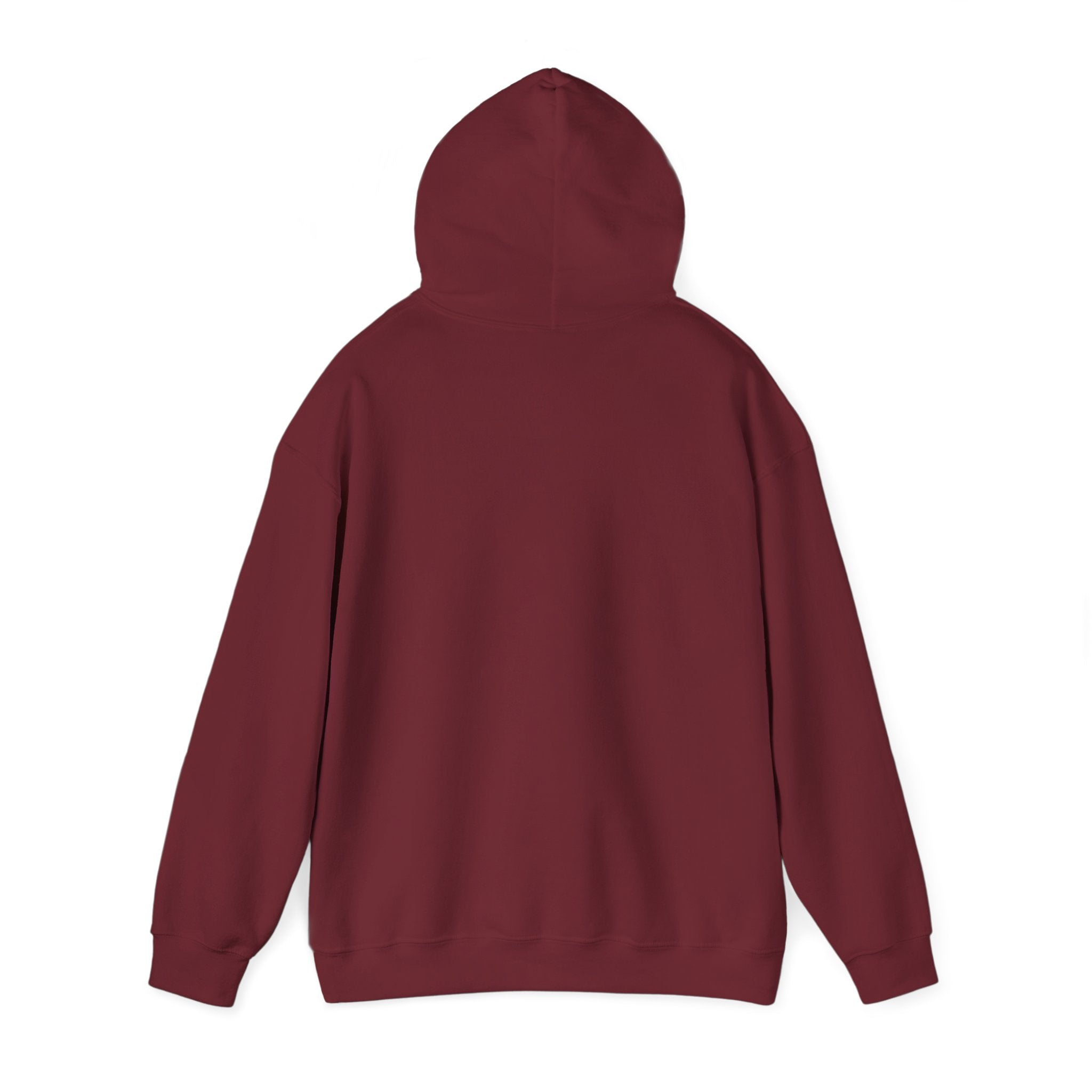 PBS Please Bring Senkos hoodie | Black Pullover Sweatshirt