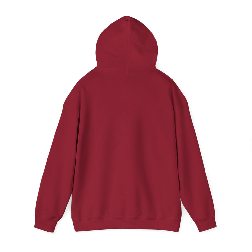 PBS Please Bring Senkos hoodie | Black Pullover Sweatshirt