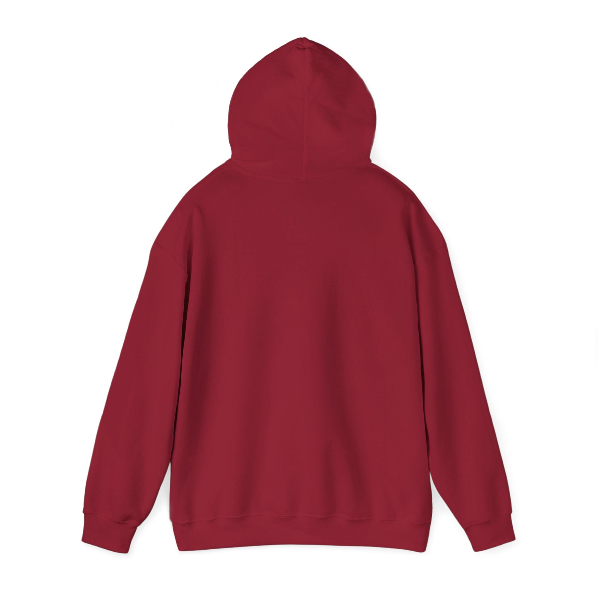PBS Please Bring Senkos hoodie | Black Pullover Sweatshirt